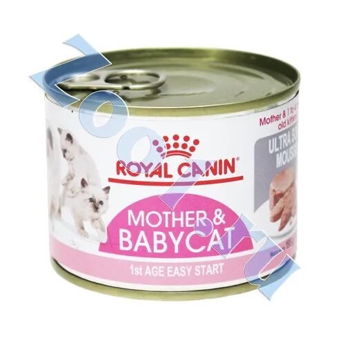 Royal canin starter mousse mother & babydog мусс д/соб и щен 195 г. Royal canin starter mousse. Роял канин мусс. Роял канин стартер для щенков консервы. Роял канин мусс.