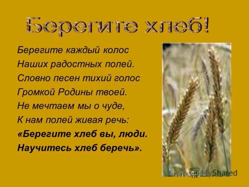 Найти слова колос. Презентация на тему хлеб. Беречь хлеб. Стихотворение про хлеб. Стихотворение о Колосе.