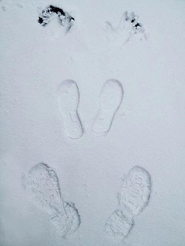 Там следы. Отпечаток на снегу. Отпечатки ног на снегу. Следы на снегу мужчины и женщины. Детские следы на снегу.