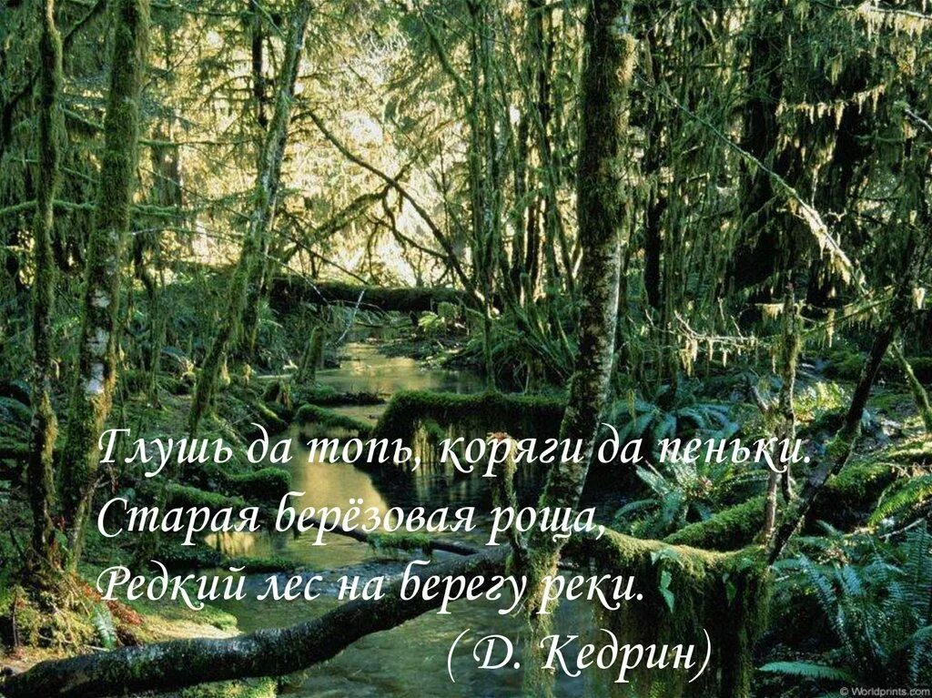 Какое предложение можно составить из слова глушь. Глушь предложение. лесная глушь предложение. предложение со словом глушь. предложение на слово глушь.