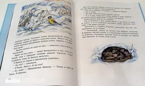 Бианки синичкин календарь читательский дневник краткое содержание