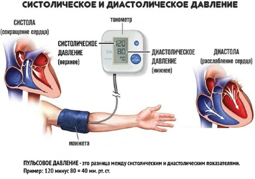 Что показывает давление. Систолическое и диастолическое давление. Как измерить систолическое и диастолическое давление. Различия систолического артериального давления и диастолическое. Систолическое и диастолическое артериальное давление норма.