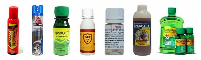 Средство от земляных блох в частном доме. Средство от земляных блох в доме. Средство от земляных блох. Средство от земляных блох. Самое эффективное средство от блох в квартире.