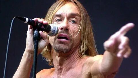 Iggy pop википедия