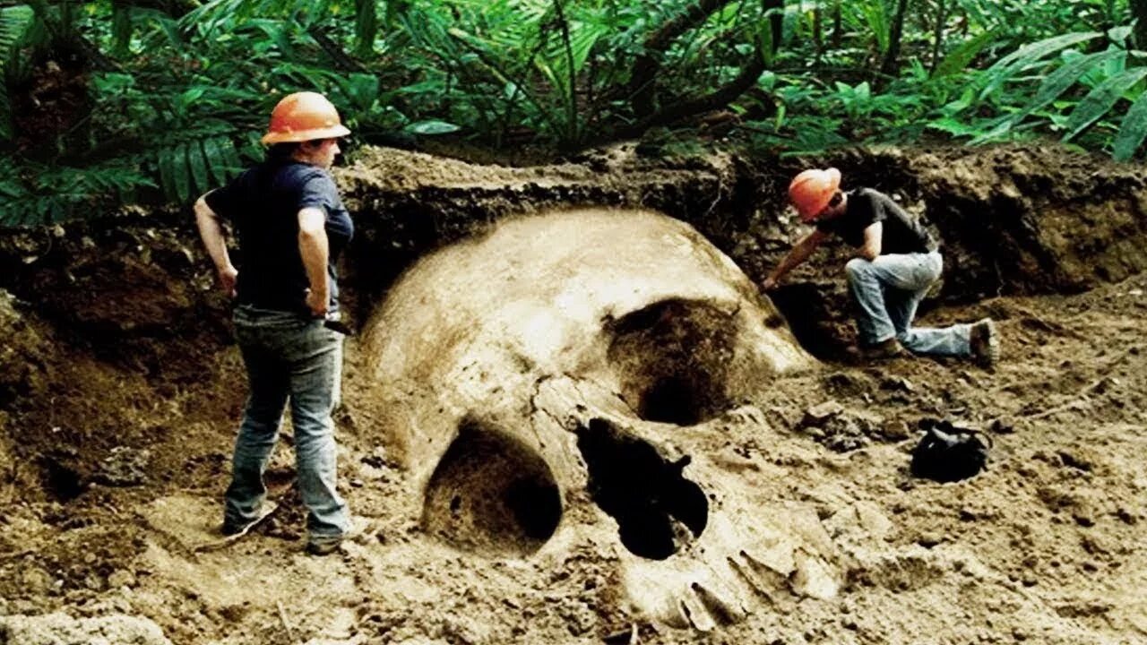 Гиганты гигантов подробно. Город гигантов. Дорога гигантов с птичьего полета. Гиганты гигантов подробно. Гиганты гигантов подробно.