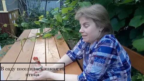 В саду поселилось 4