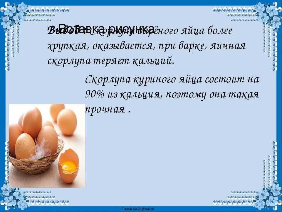 Можно давать щенку яйцо. Заключение про куриное яйцо. А прочно ли куриное яйцо исследовательская работа. Вывод куриных яиц. Полезные вещества в яйце курином.