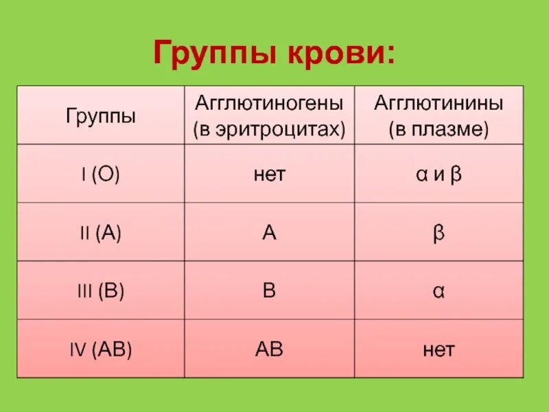 Первая положительная и вторая положительная дети. Группы крови человека таблица. 2 И 4 группа крови. Биология группы крови 8 класс группы крови. Группы крови таблица биология.