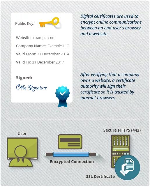 Digital Certificate. Certificate browser. Digital Certificate Security. Examples Digital Certificates sites.