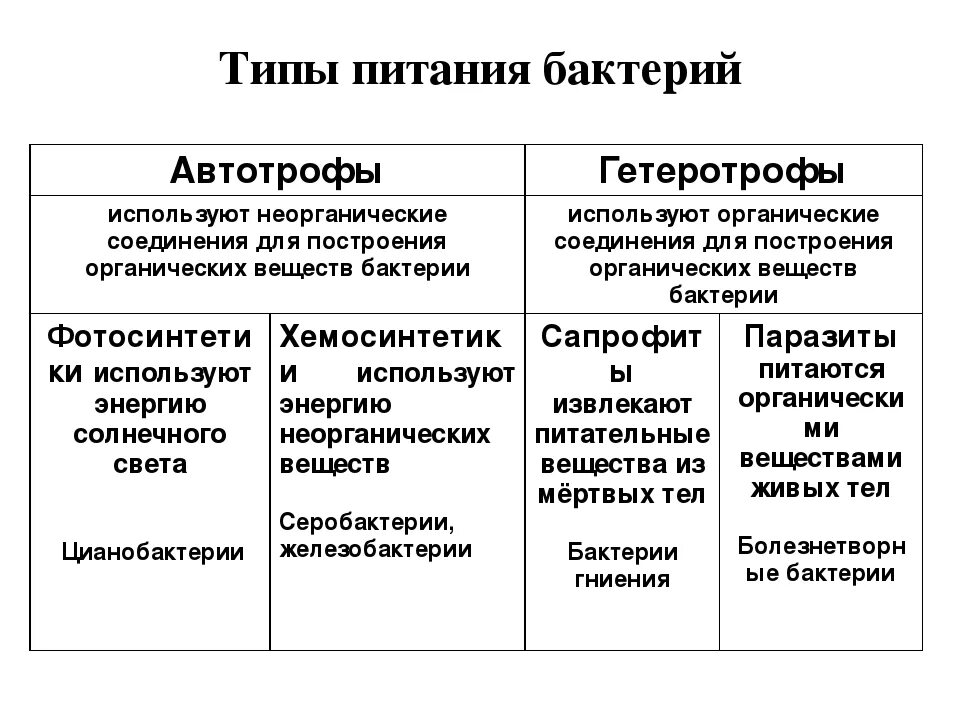 Типы питания бактерий таблица. Способы питания микроорганизмов микробиология. Типы питания бактерий микробиология схема. Способы питания бактерий схема 5 класс биология.