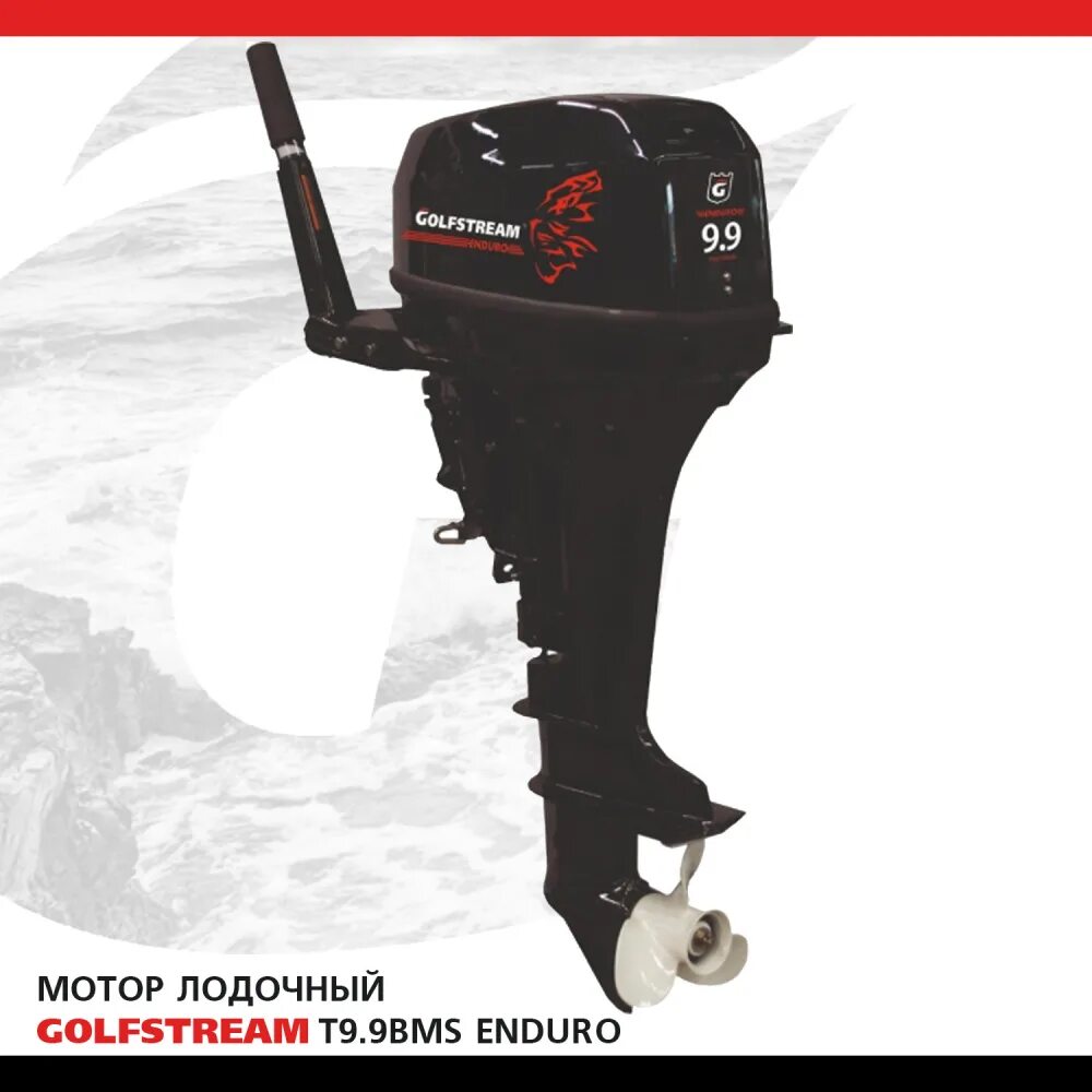 Лодочный мотор Golfstream t9.9BMS. Мотор Лодочный Golfstream f9.9ABMS Enduro. Лодочный мотор Golfstream 9.9. Мотор Гольфстрим 9.9.