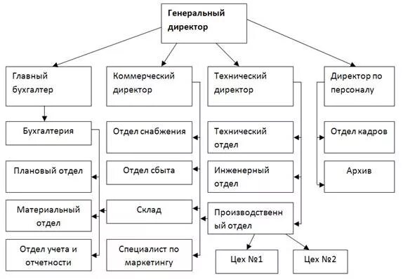 Главный бухгалтер склад. Организационная структура предприятия директор главный инженер. Структура организации генеральный директор главный бухгалтер. Организационная структура ООО генеральный директор. Организационная структура предприятия зам директора.