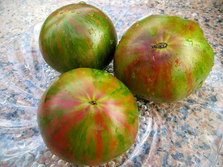 Richard mille green sapphire. Adidas originals кроссовки ozelia. Nike air max 90 зеленые мужские. Nike sb dunk low pro green. реплика зелено.