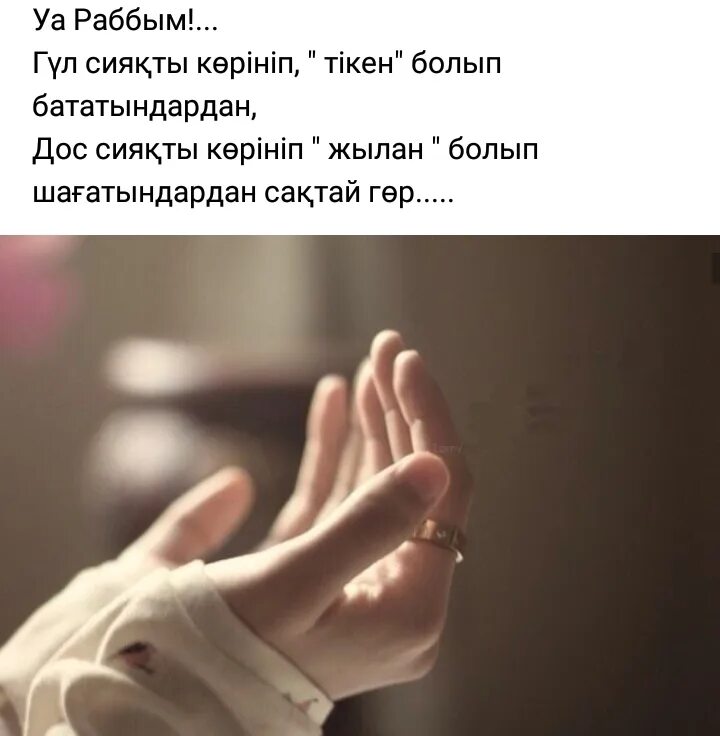 Прошу дай силы мне