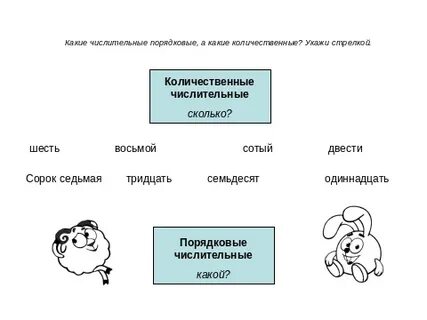 Задания по теме имя числительное