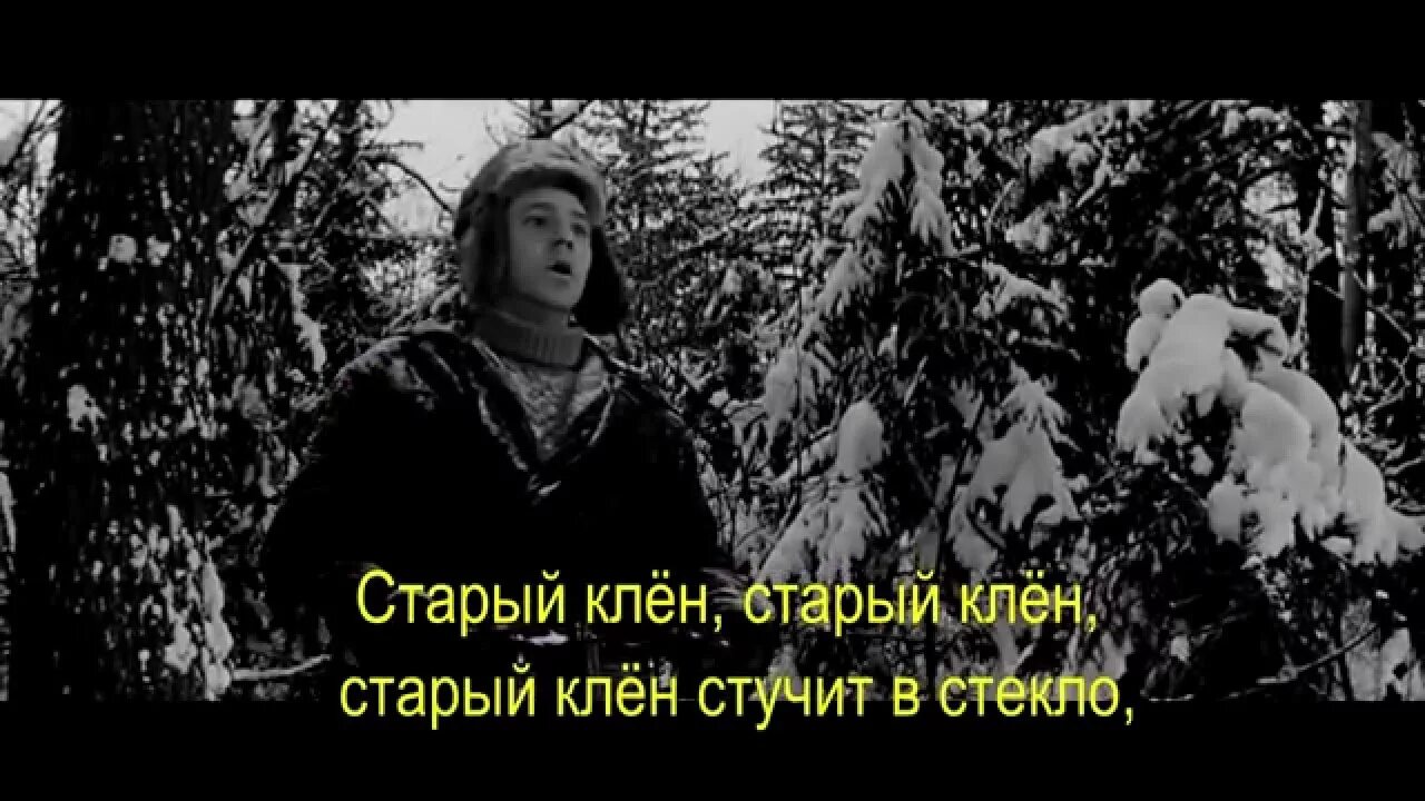 Девчата песня караоке. Старый клен девчата. Девчата песня караоке. Девчата песня караоке. Девчата песня караоке.