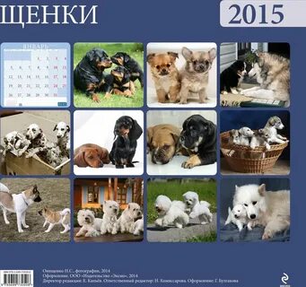 Щенки 2015