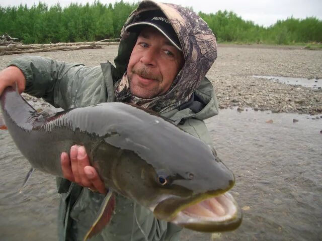 лефу рыбалка в приморье. лефу рыбалка в приморье. лефу рыбалка в приморье. лефу владивосток. лефу рыбалка.