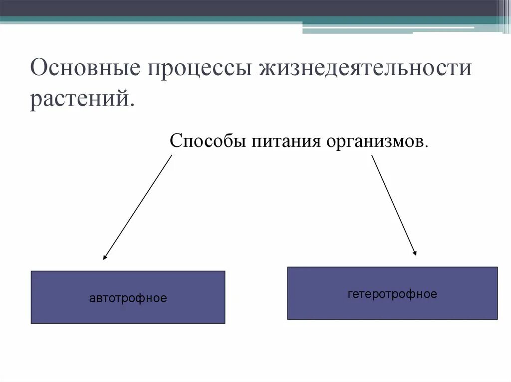 Изменение организмами в процессе жизнедеятельности. Процессы жизнедеятельности растений. Процессыжинидеятельностирамтений. Основные процессы жизнедеятельности растений. Основные процессы жизнедеятельности организмов.