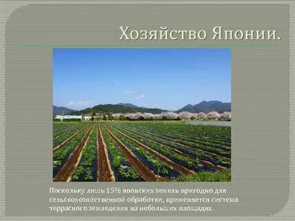 Отрасли сельского хозяйства японии