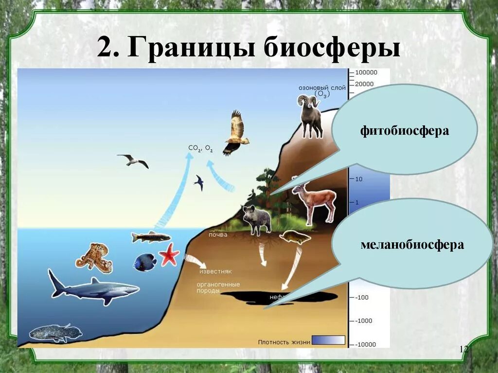 Границы жизни атмосферы. Границы биосферы. Границы биосферы схема. Granisi biosferi. Рисунок на тему границы биосферы.