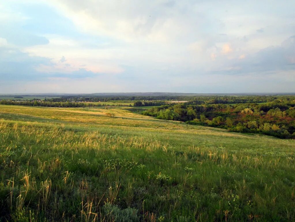 Оренбуржье фото. Архиповка Сакмарский район природа. Оренбургская область Сакмарский район природа. Оренбургский район природа. Архиповка Сакмарский район Оренбургской области.