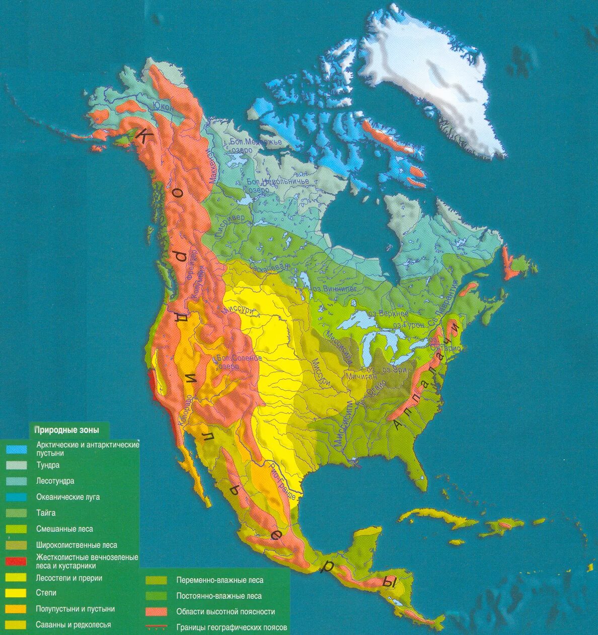 Перечислите природные зоны в пределах канады. Карта природных зон США. Карта природных зон Северной Америки. Карта природных зон Сев Америки.