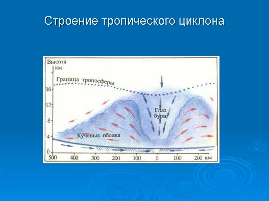 Откуда приходят циклоны. Строение тропического циклона. Структура циклона. Структура тропического циклона. Схема образования циклона.