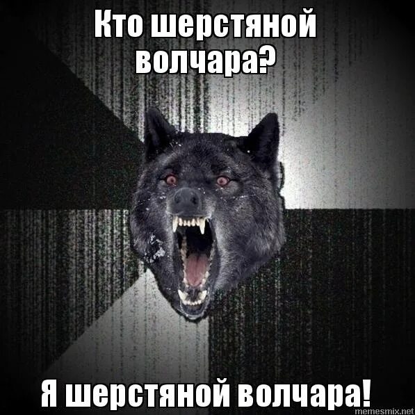 Я мощный шерстяной волчара. Я волчара. Шерстяной волчара мем. Безумный волк мем. Мем шерстяной.