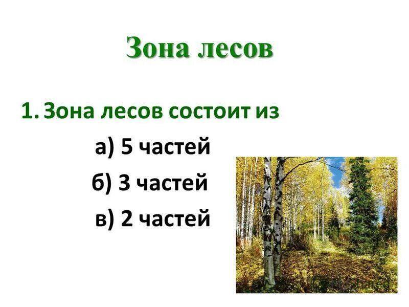 Лес презентация 4 класс плешаков. Зона лесов 4 класс окружающий мир. Тест по теме Лесная зона. Тест по зоне лесов. Из чего состоит лес.