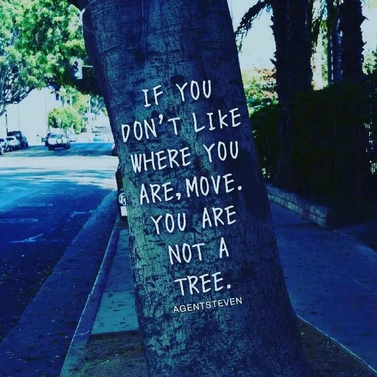 If you are not going. You are not a tree. if you don&#039;t like where you are move you are not a tree. if you are. i like when you move.