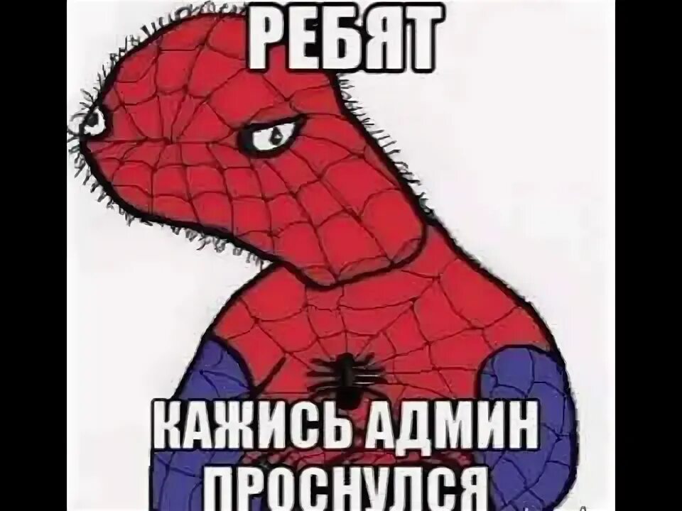 i?id=46ab8f95fd3b5276dd72e4e41e293d21_sr