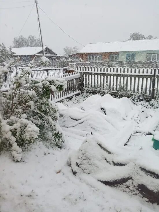 Выпал снег 2022. В Томске выпал снег июнь 2022. Снег в Томске. Снегопад в Томске. Выпал снег.