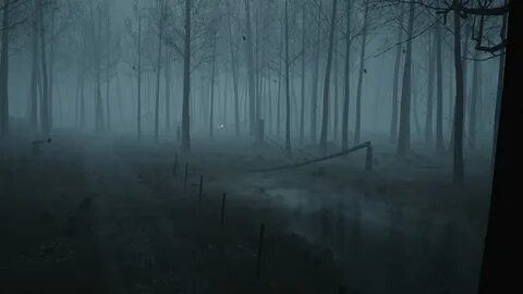 Death forest
