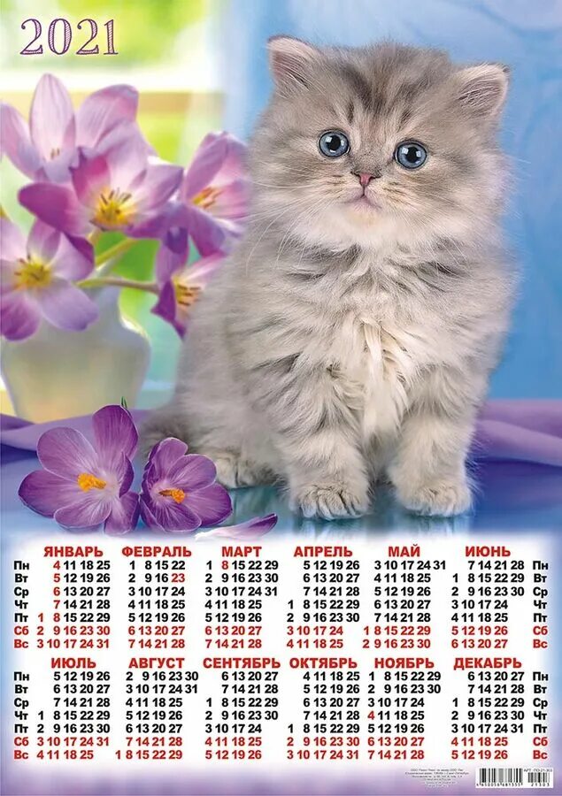 Кошка 2021. Календарики с кошками. Календарь с котиками. Календарь настенный кошки. Календарь на 2021 год с кошками.