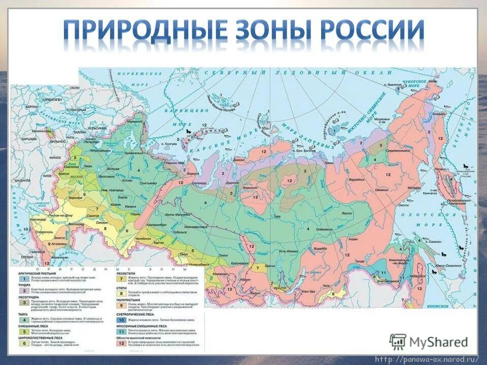 Карта природных зон россии. Карта природных зон России 4. Карта России природные зоны России. Карта России природные зоны России 8 кл.