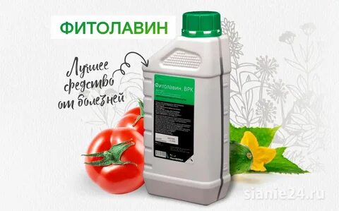 Фитолавин