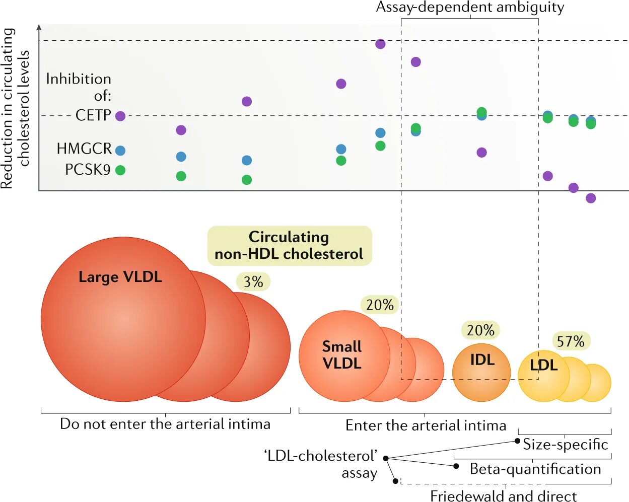 Холестерол LDL. HDL cholesterol норма. Холестерин HDL И LDL. LDL холестерин что это.