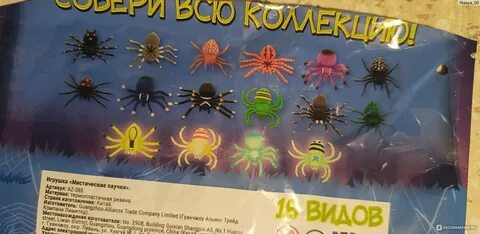 Мистические паучки 16 видов