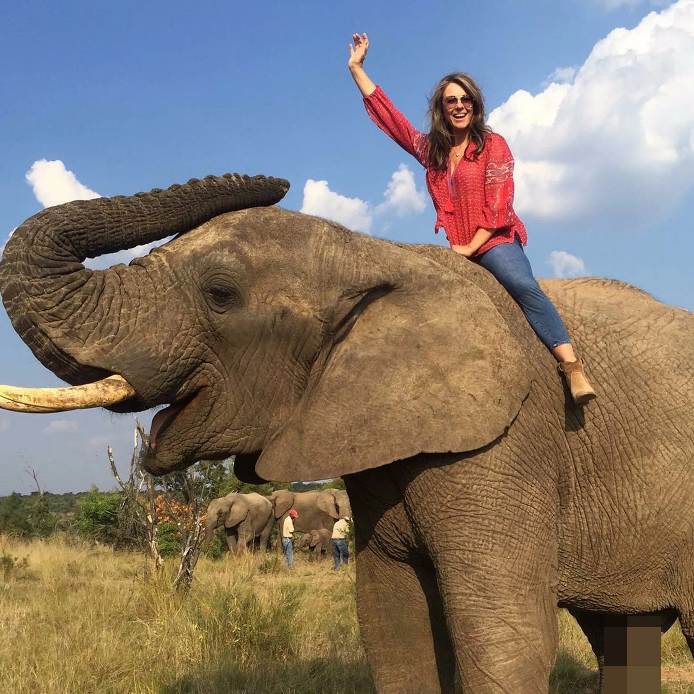 Индийский слон слон. Фотосессия со слонами. Elephant woman. Индийский слон и человек. Белый слон девушка.