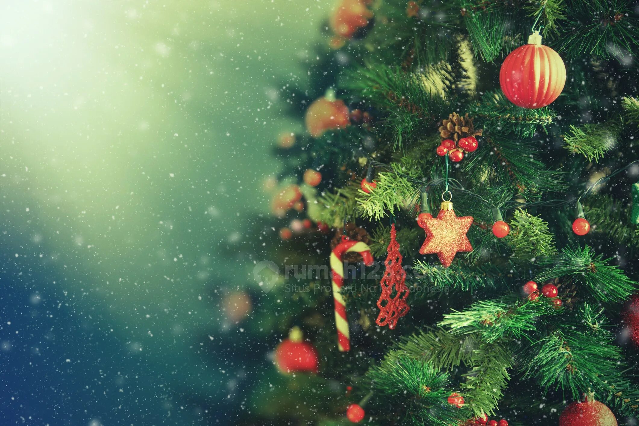 фон для новогодней открытки. новогодняя заставка. поставь новый фон. елка боке. новогодний фон для баннера.