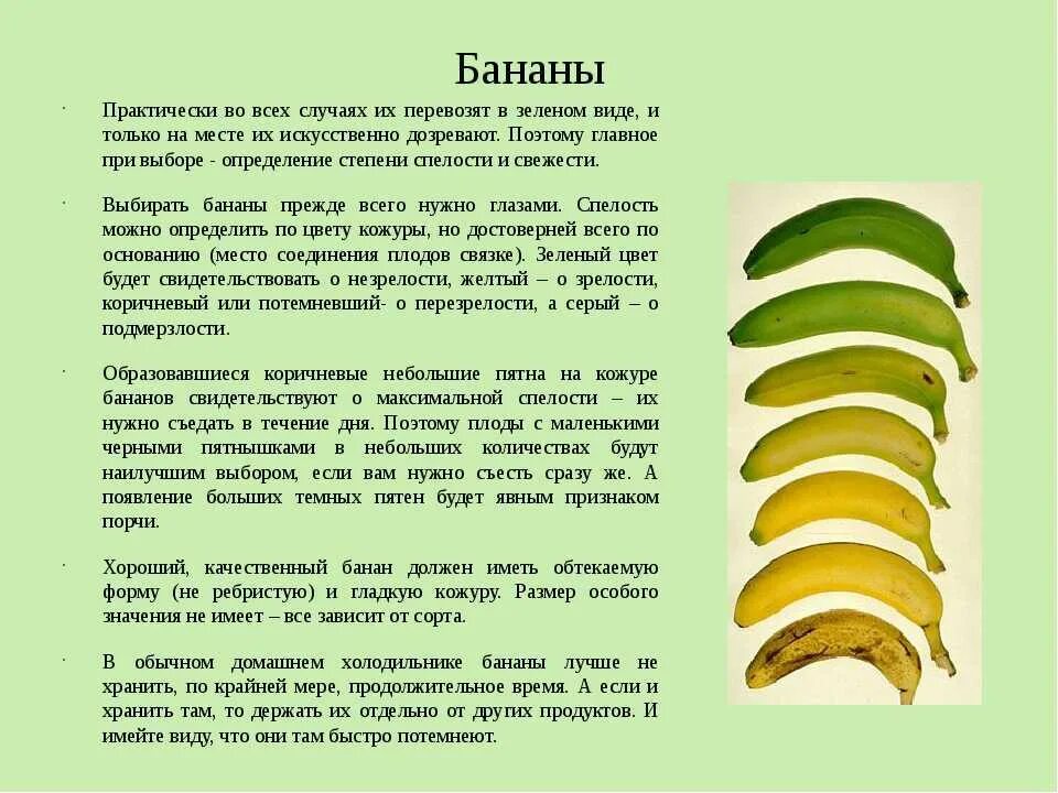 Какие бананы полезнее зеленые или. Фазы зрелости бананов. Стадии созревания бананов. Степень зрелости бананов. Степень созревания бананов.