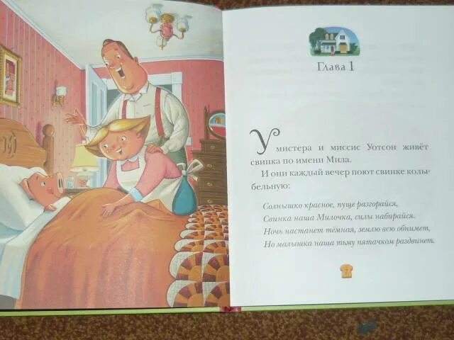 Книга свинка