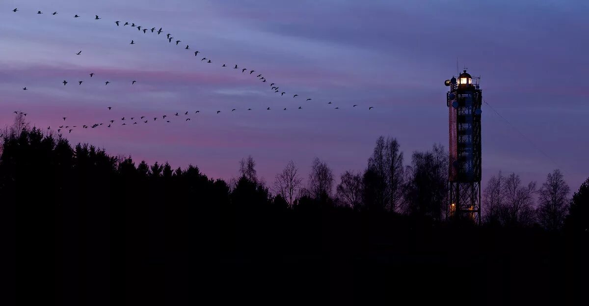 маяк красная горка. кемь маяк. дом маяк смоленск. маяк марьина горка. мыс золотой приморский край.