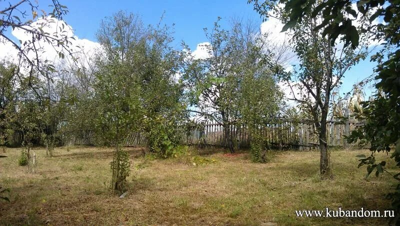 станица калужская 23 школа. погода калужская краснодарский край станица северский. погода калужская краснодарский край станица северский. погода калужская краснодарский край станица северский. погода калужская краснодарский край станица северский.