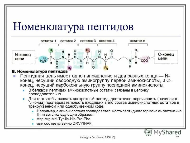 N и с концы полипептида. пролин в пептиде. N конец пептида. трипептид структурная формула. схема пептидной связи биология.