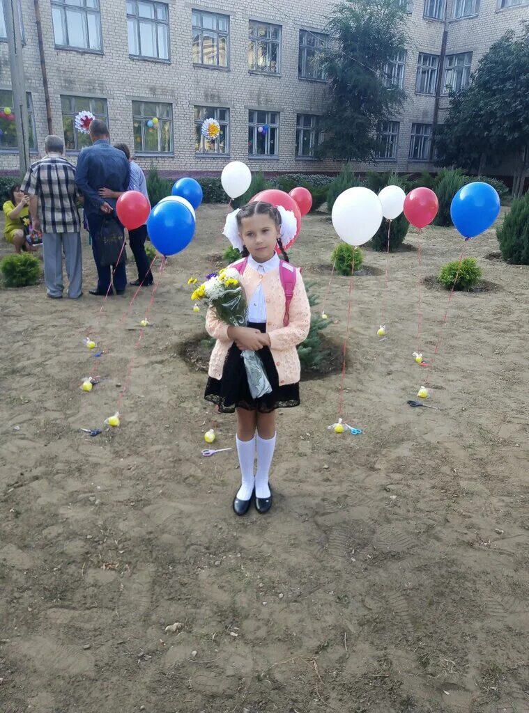 Школа 29 волгоград. Школа 97 волгоград. волгоград школа 86 тракторозаводской район. школа 17 волгоград тракторозаводский район. школа 1 волгоград тракторозаводский район.