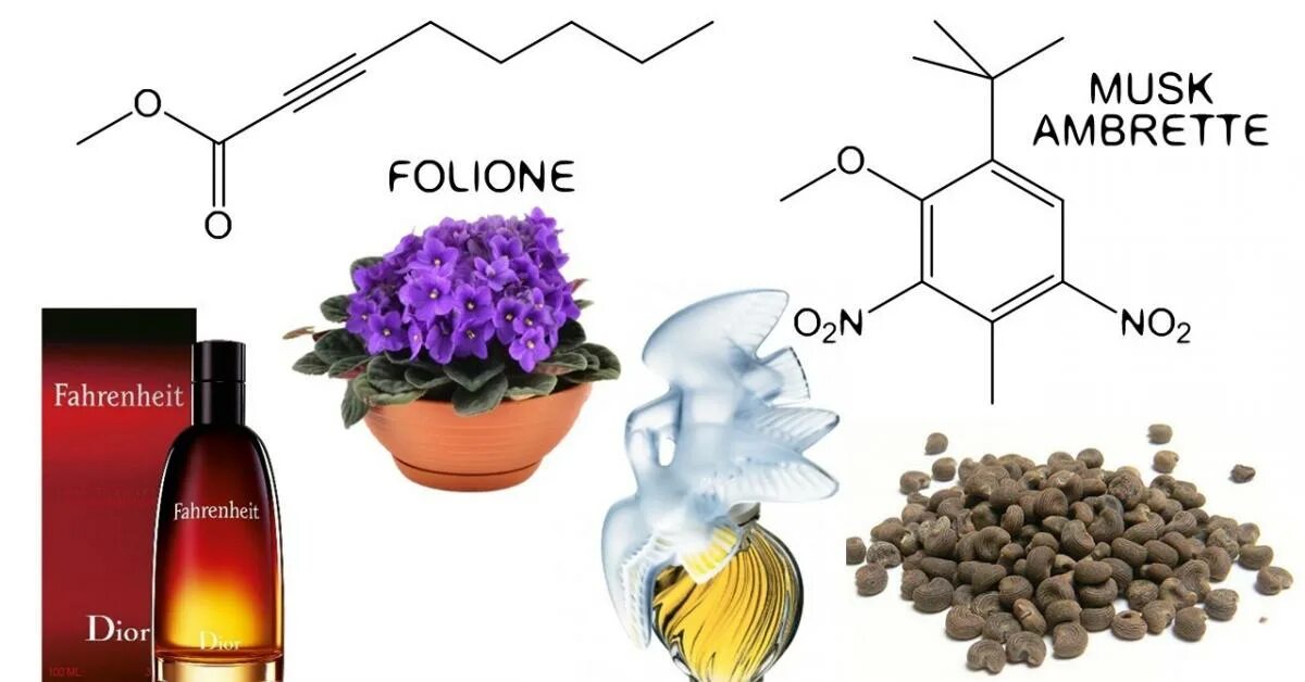 Мускус запах на что похож. Мускус в парфюмерии. Ifra в парфюмерии. Амбретта семена. Амбретта в парфюмерии.