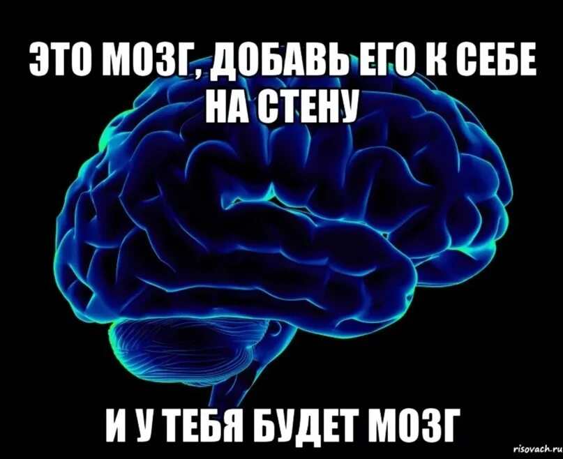 Картинка про мозг. Мозг прикол. Шутки про мозг.