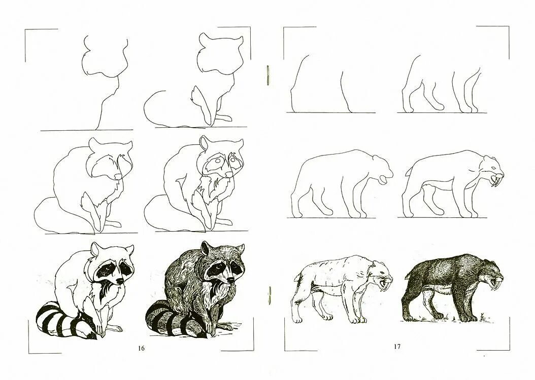 Животное рисунок 7 класс. Зарисовки диких животных. Этапы рисования животных. Рисунки животных карандашом. Рисование диких животных.